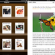 Illustration for article titled Blogshelf iPad App Makes Your RSS Feeds Look Like Books